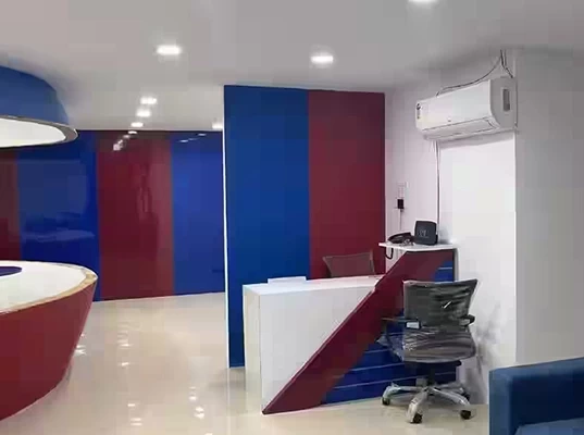 Aviation Institute in India